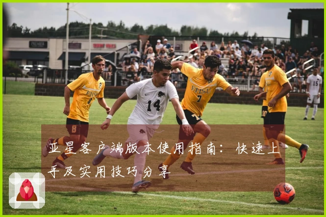 亚星客户端版本使用指南：快速上手及实用技巧分享