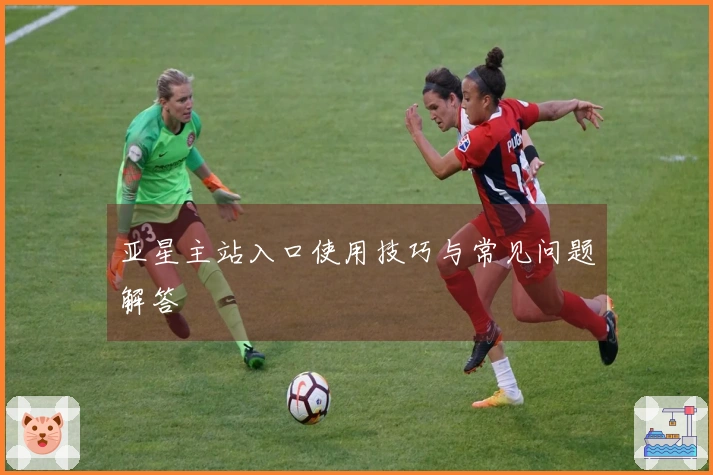 亚星主站入口使用技巧与常见问题解答