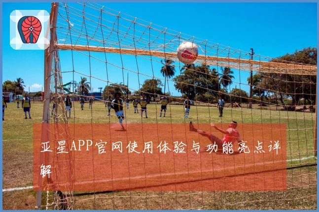 亚星APP官网使用体验与功能亮点详解